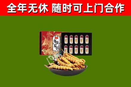 松滋市回收冬虫夏草价格