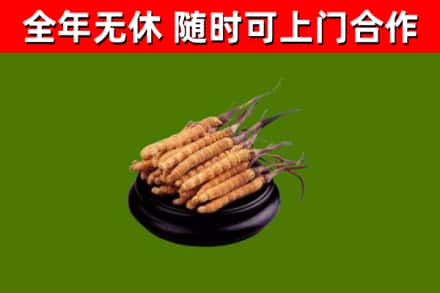 松滋市烟酒回收冬虫夏草.jpg